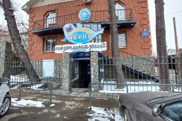 Аквариум.