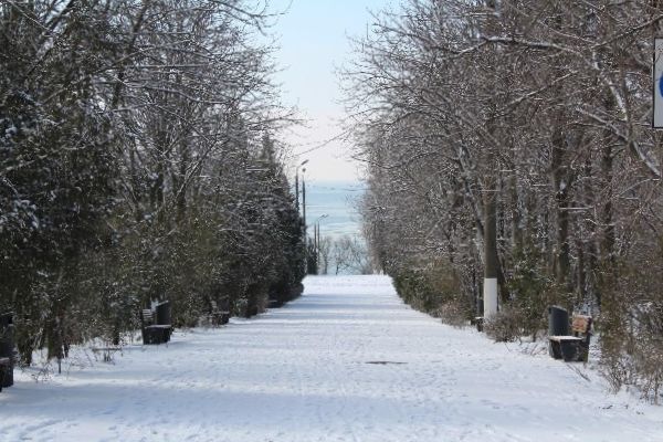 Парки Таганрога.
