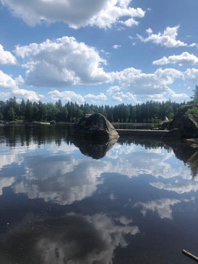 Монрепо.
