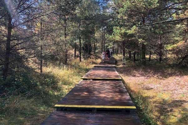 Дорога в дюны.