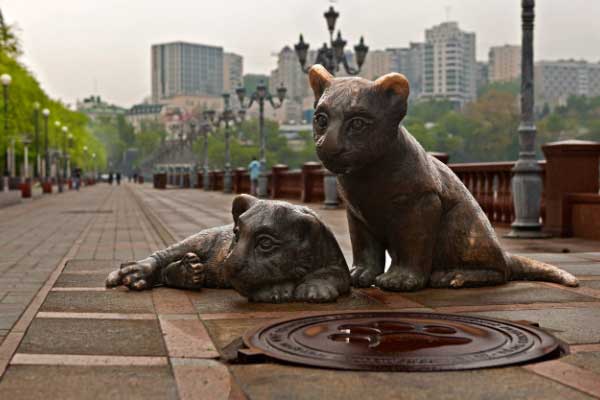 Что посмотреть?