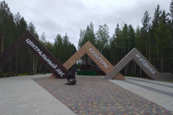Вход в лес.