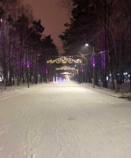 Парк зимой.