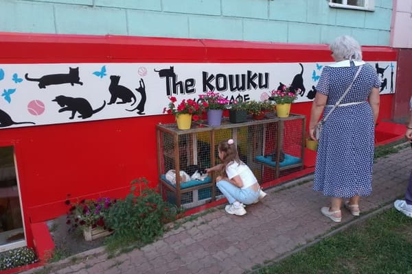 Кафе и рестораны.