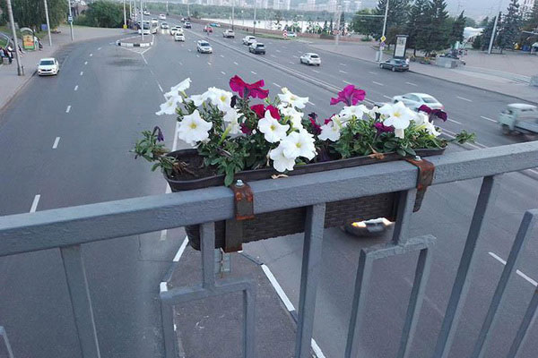 Пешеходный мост.