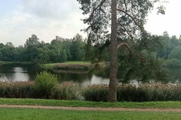 Парки Гатчины.