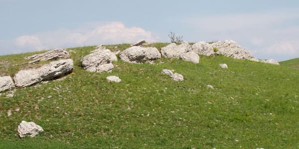 Краснодонская степь.