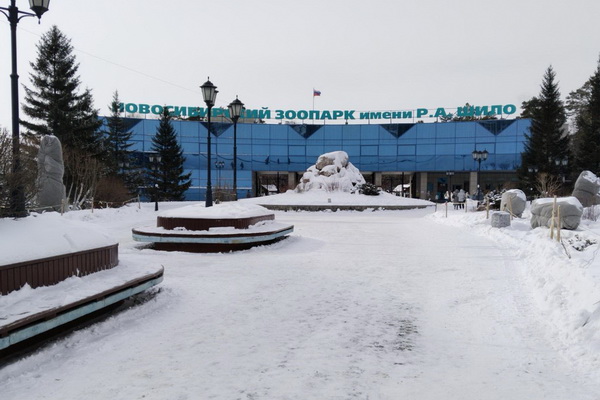 Куда сходить?