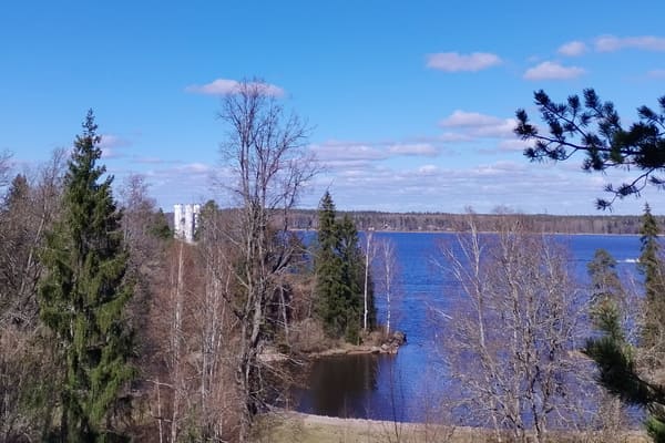 Парк.