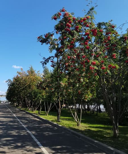 Прогулка по набережной.