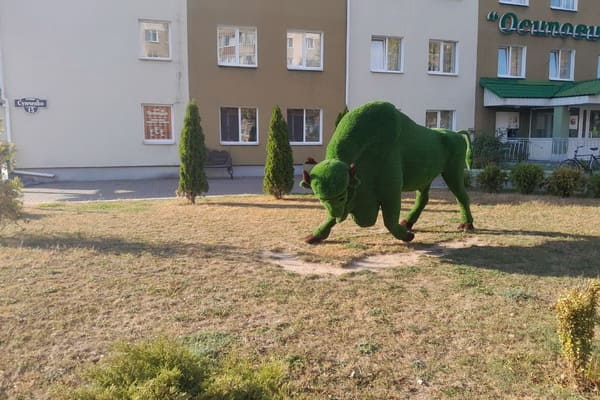 Символ Беларуси.